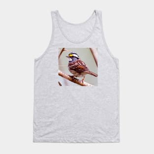 White Throated Sparrow Tank Top